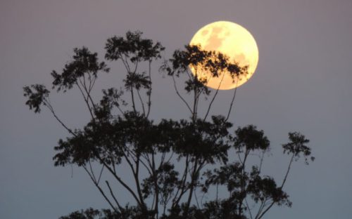 La Lune. // Source : Pxhere/CC0 Domaine public (photo recadrée)