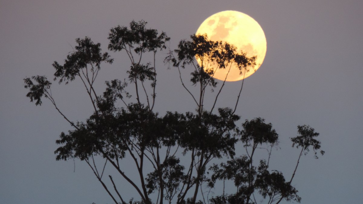 La Lune. // Source : Pxhere/CC0 Domaine public (photo recadrée)