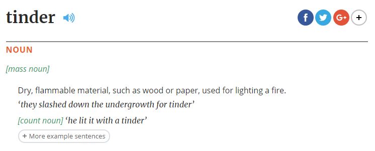 La définition du mot tinder. // Source : Capture d'écran Oxford Dictionnary