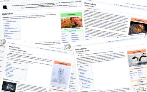 Que disent nos recherches sur l'évolution de la biodiversité ? // Source : Captures d'écran Wikipédia