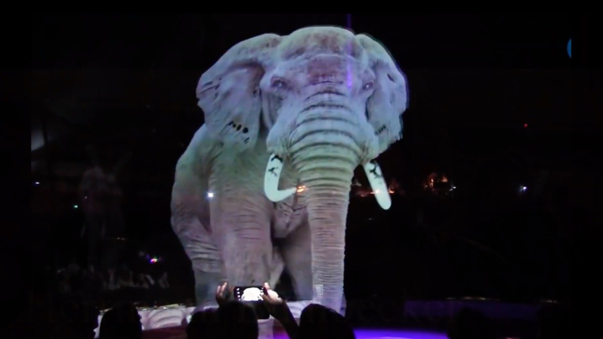 Un éléphant hologramme // Source : YouTube/Monde Animal