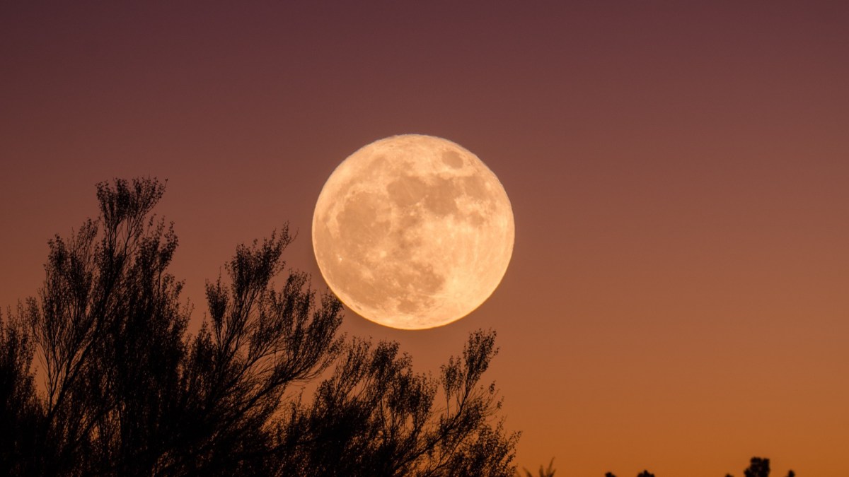 À quoi ressemble l'intérieur de la Lune ? // Source : Pxhere/CC0 Domaine public (photo recadrée)