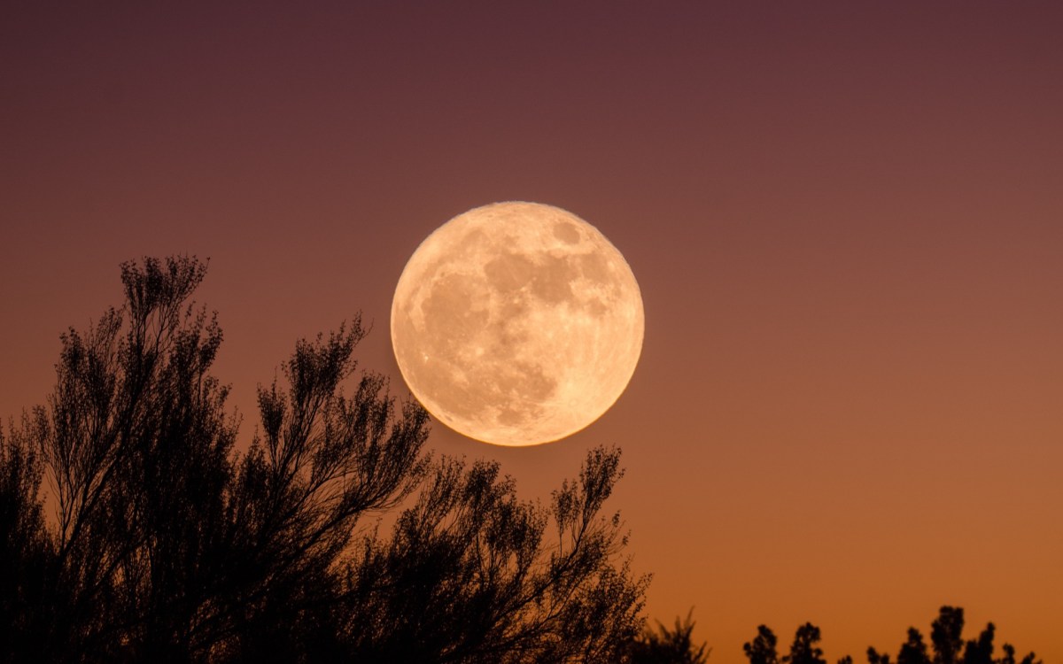 À quoi ressemble l'intérieur de la Lune ? // Source : Pxhere/CC0 Domaine public (photo recadrée)