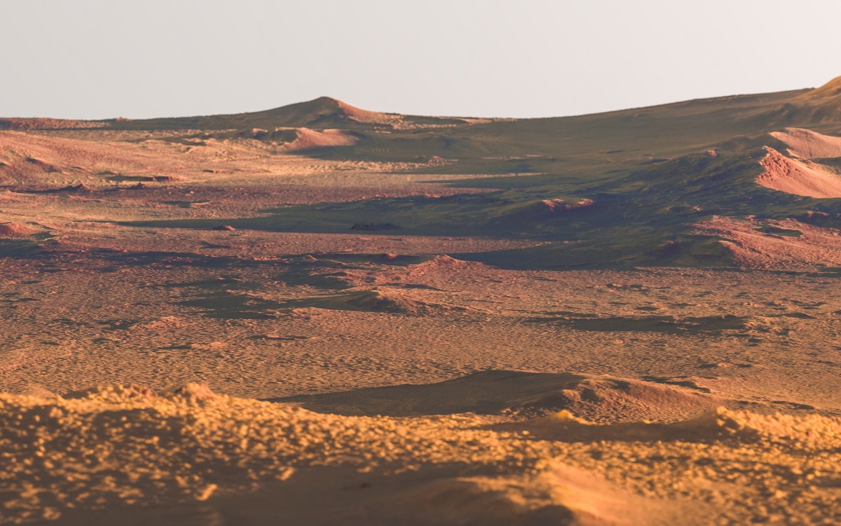 Le plateau volcanique Syrtis Major Planum sur Mars. // Source : Flickr/CC/Kevin Gill (photo recadrée)