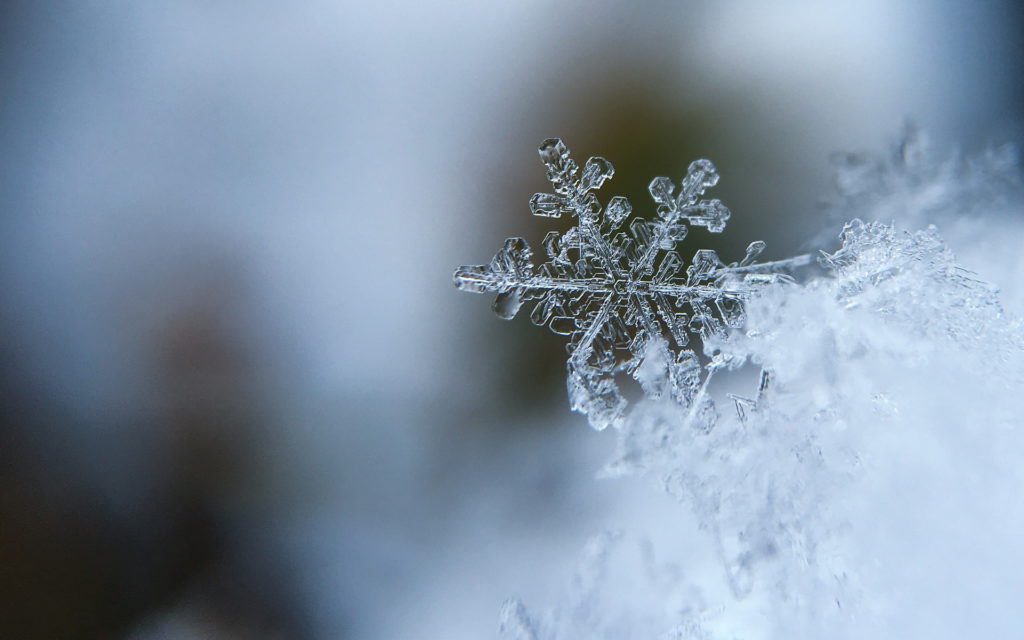 Un flocon de neige. // Source : Pixabay (photo recadrée) Un flocon de neige. // Source : Pixabay (photo recadrée)