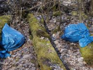Des sacs plastiques dans la nature. // Source : Pxhere/CC0 Domaine public (photo recadrée)
