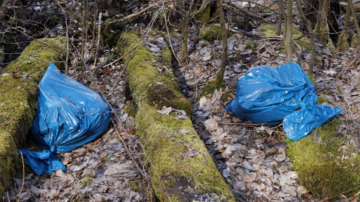 Des sacs plastiques dans la nature. // Source : Pxhere/CC0 Domaine public (photo recadrée)