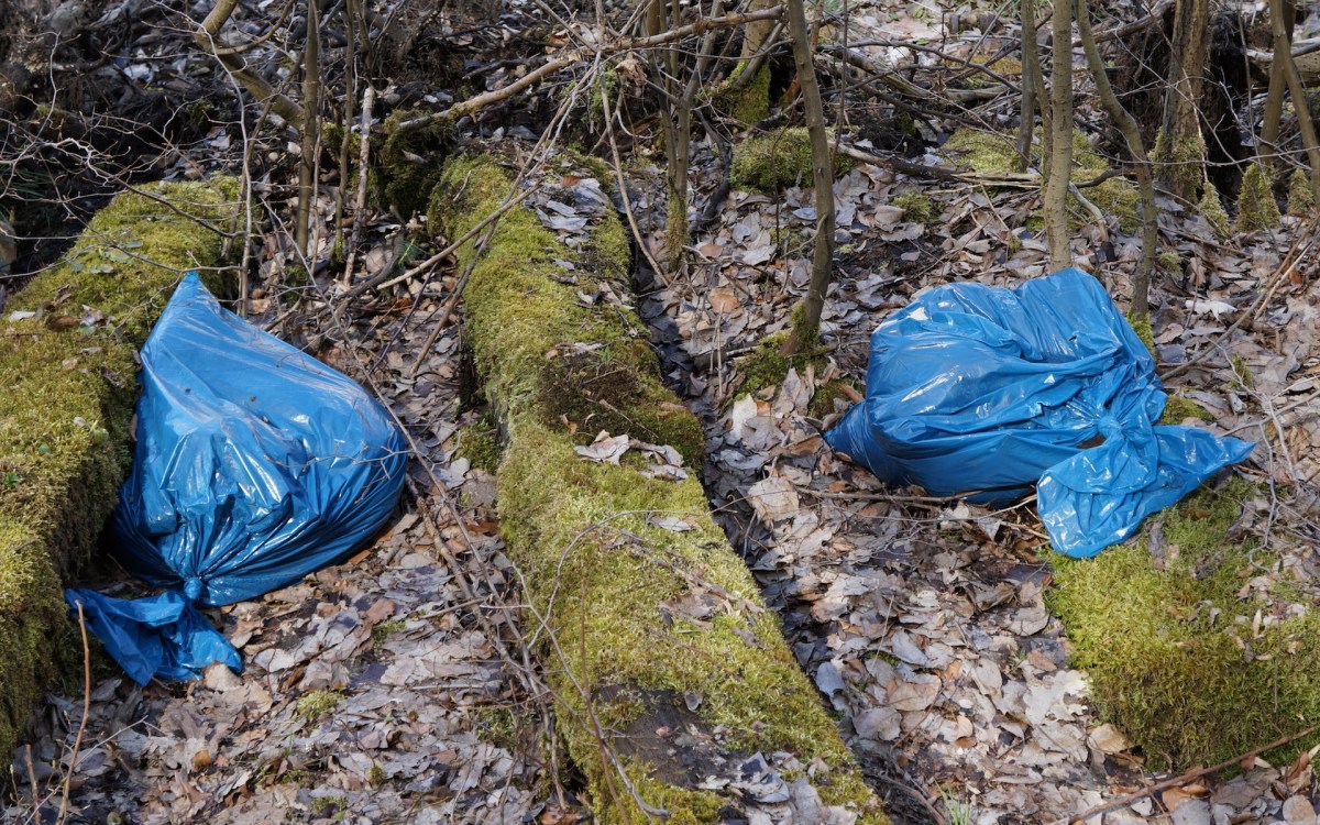 Des sacs plastiques dans la nature. // Source : Pxhere/CC0 Domaine public (photo recadrée)