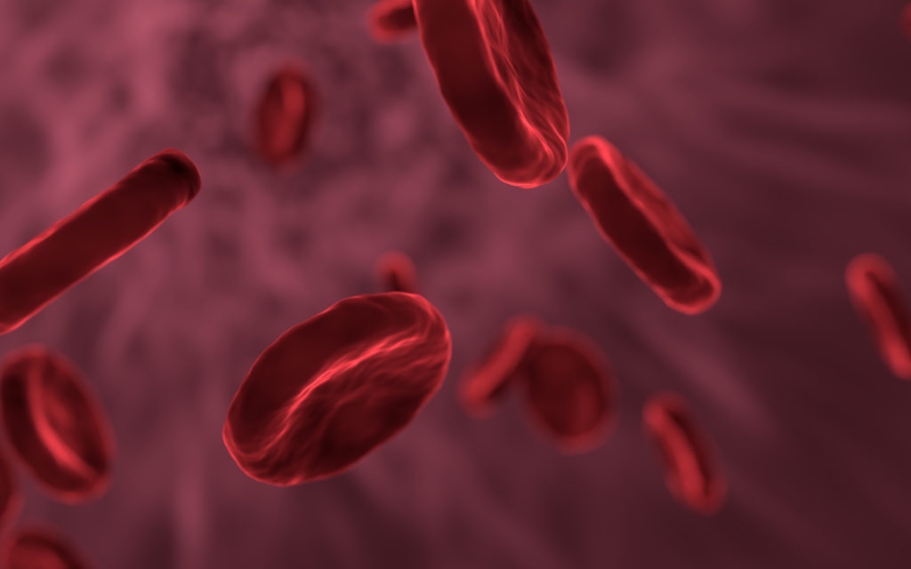 Des globules rouges dans le sang. // Source : Pixabay (photo recadrée)