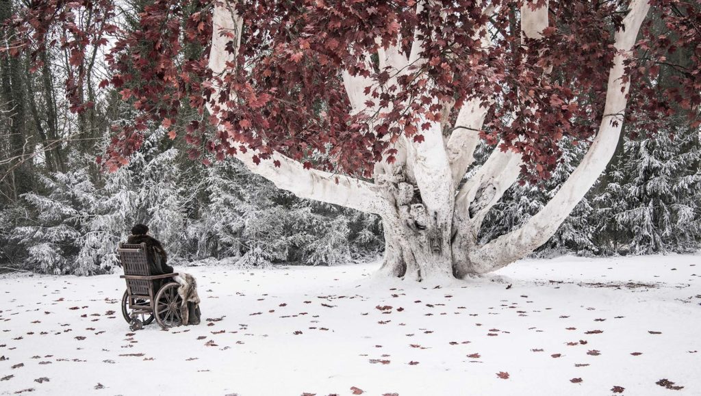 Bran Stark Bran Stark