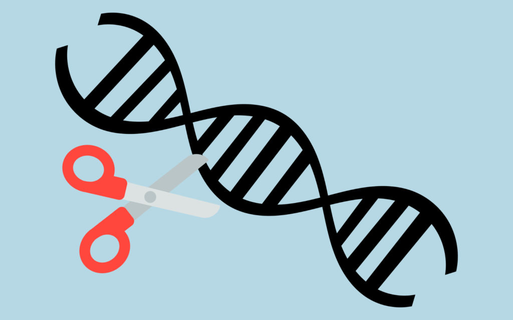 Le ciseau génétique. // Source : Pixabay et Wikimedia/CC/Firefox OS, montage Numerama