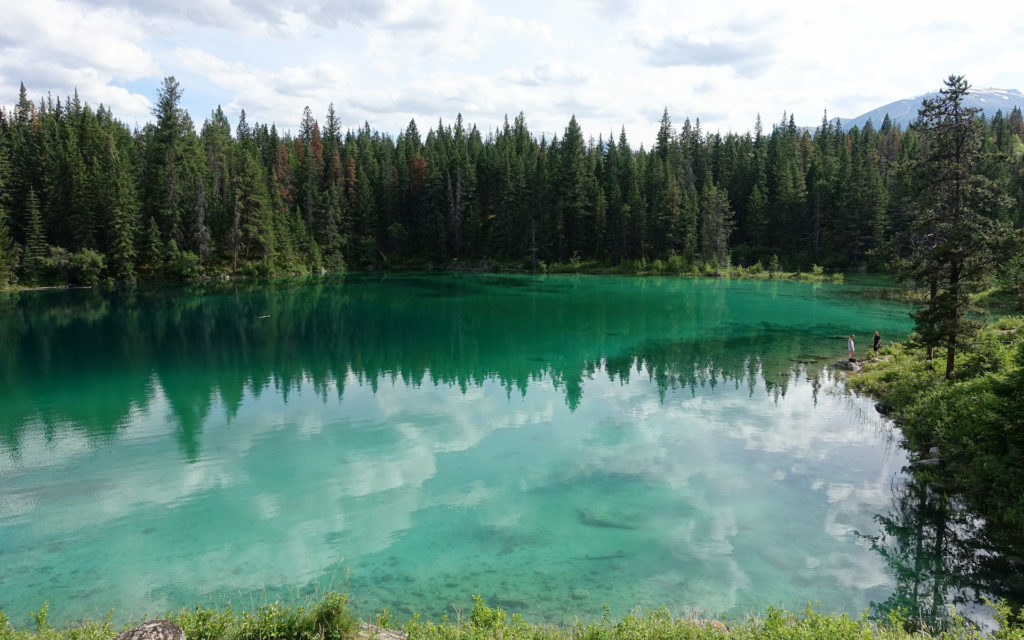 La forêt boréale canadienne. // Source : Pixabay (photo recadrée)