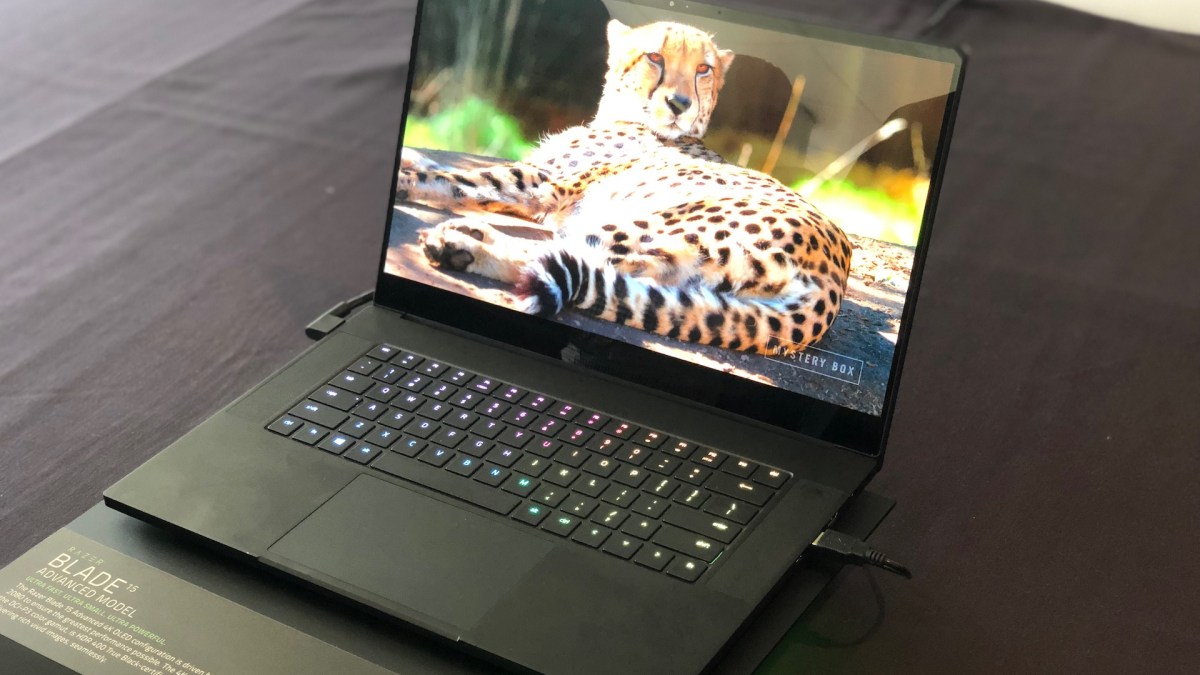 Razer Blade OLED // Source : Numerama