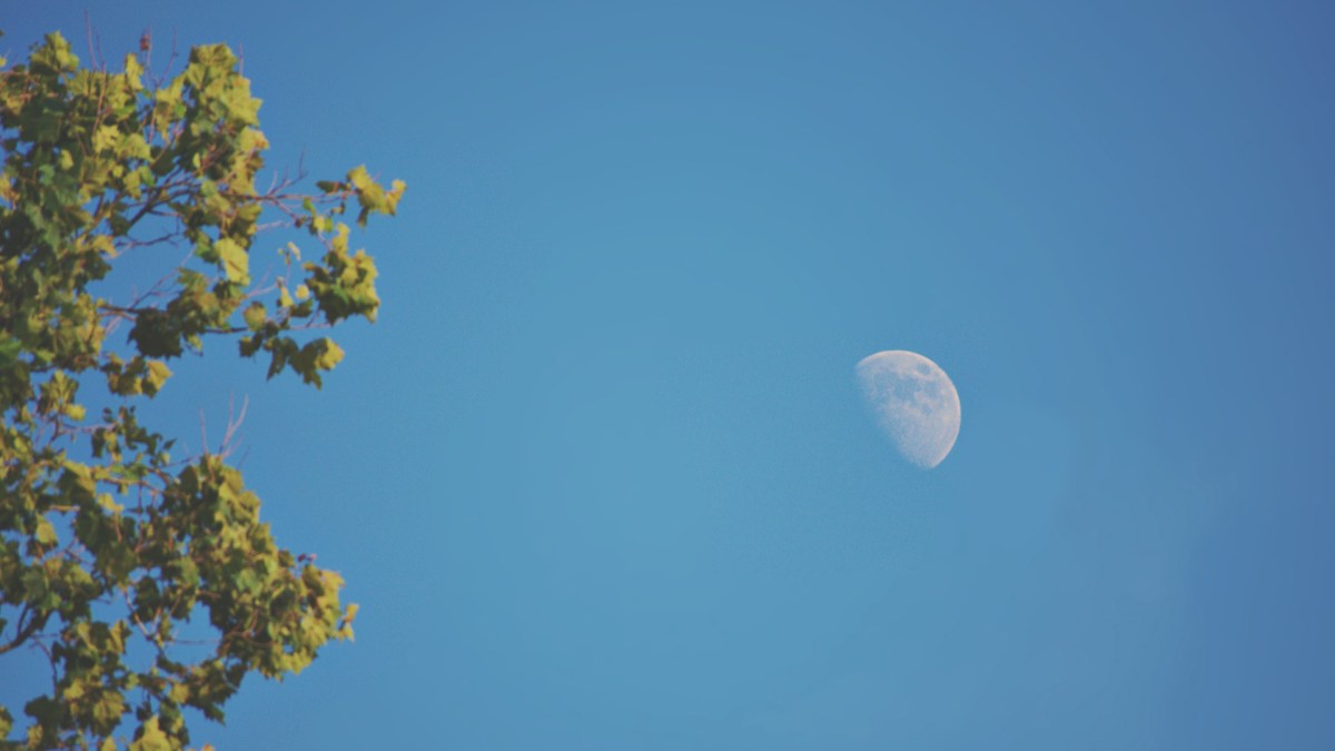 La Lune. // Source : Pexels (photo recadrée)