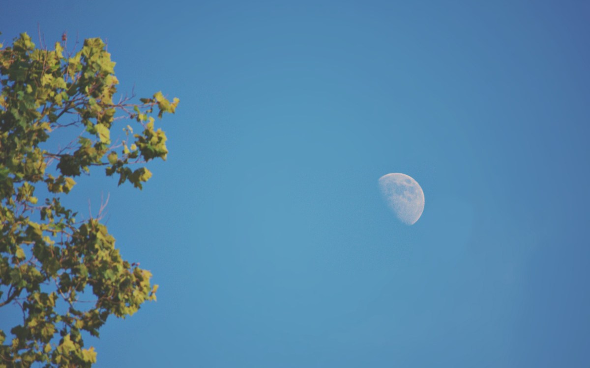 La Lune. // Source : Pexels (photo recadrée)