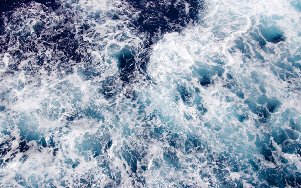 La présence d'oxygène dans les océans est cruciale pour ces invertébrés. // Source : Pexels (photo recadrée)