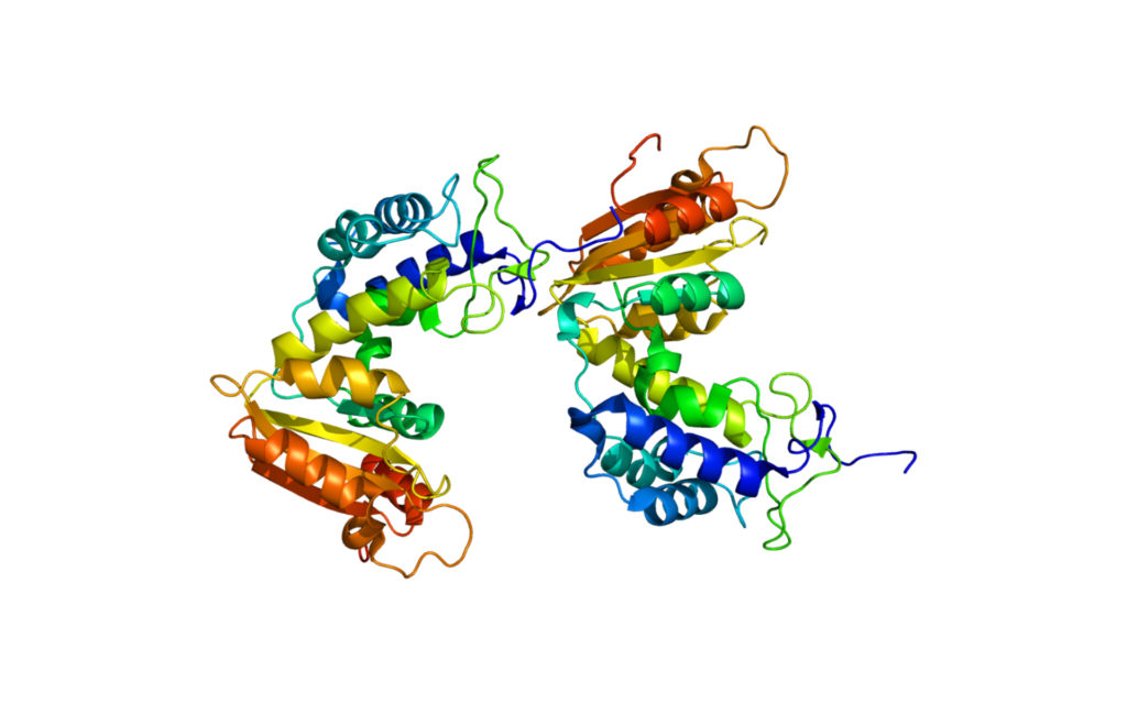 La protéine CD38. // Source : Wikimedia/CC/Emw
