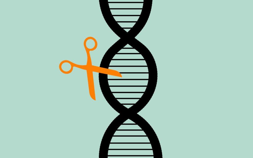 CRISPR, la technique du ciseau génétique. // Source : Pixabay, montage Numerama