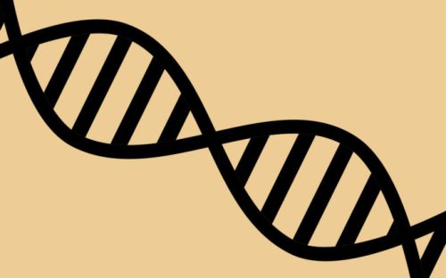 La collecte et l'analyse de l'ADN est très encadrée. // Source : Pixabay, montage Numerama