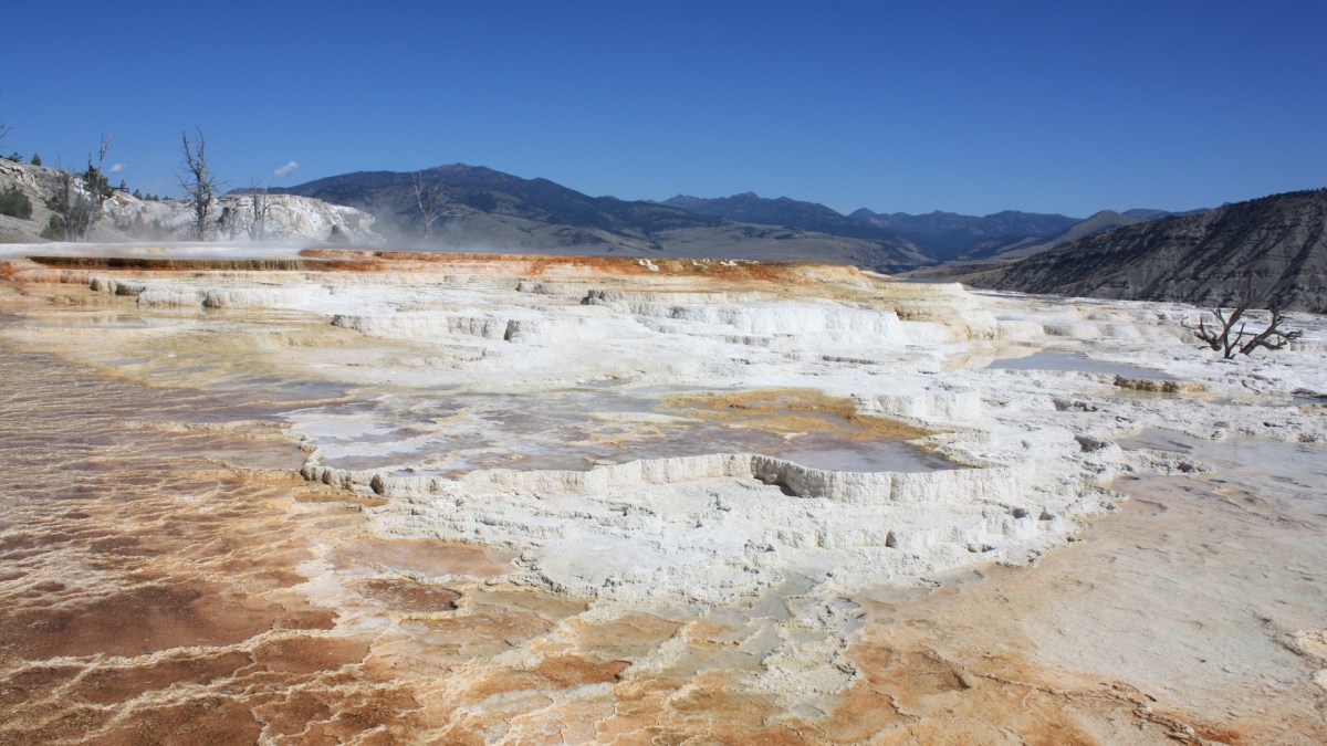 Les formations calcaires Mammoth Hot Springs. // Source : Wikimedia/CC/I. Reid (photo recadrée)