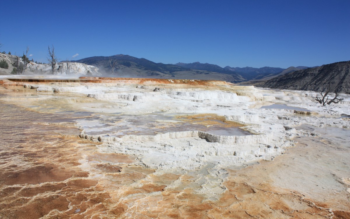 Les formations calcaires Mammoth Hot Springs. // Source : Wikimedia/CC/I. Reid (photo recadrée)