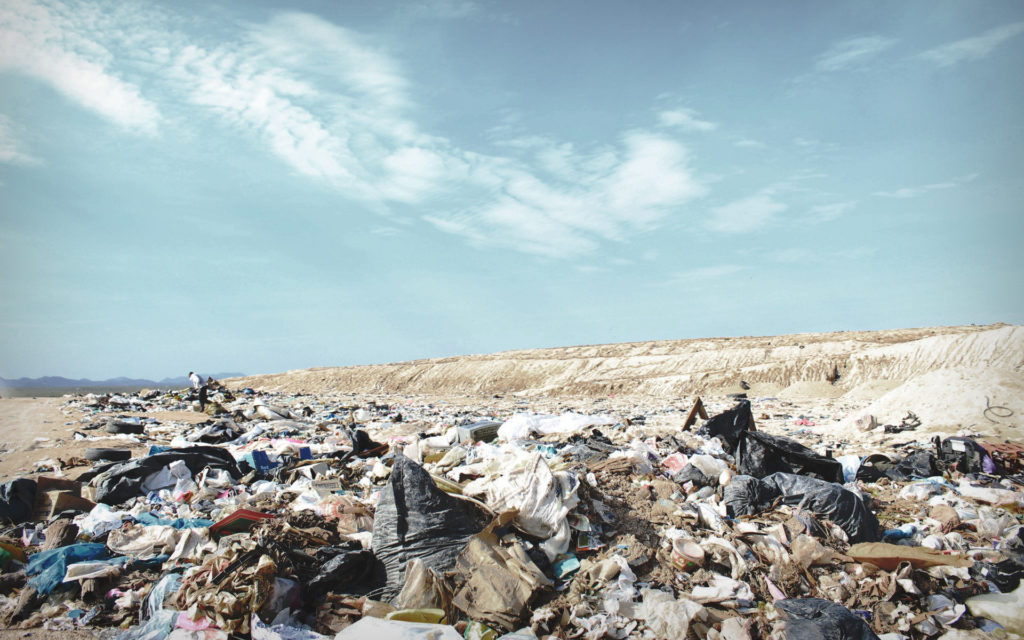 Nettoyer la planète en 10 ans, un projet ambitieux. // Source : Pexels