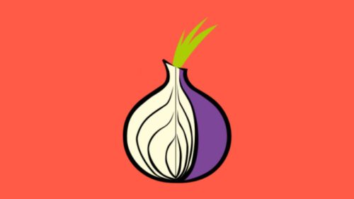 Le logo de Tor. // Source : Montage Numerama / Tor