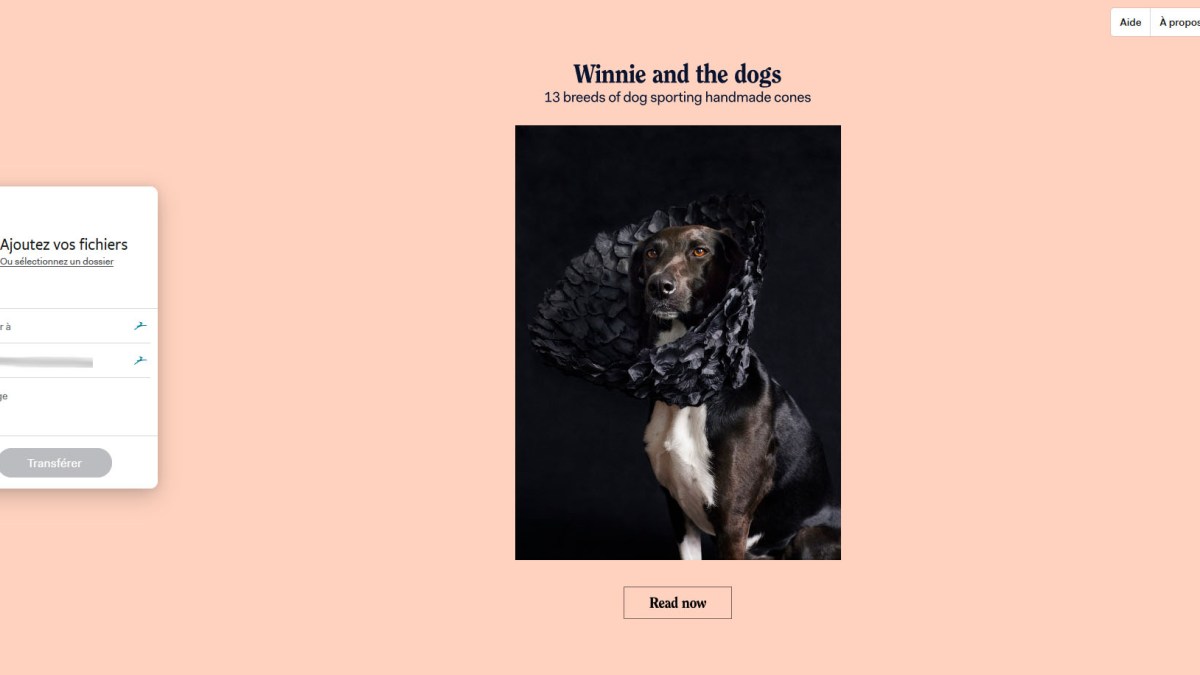 WeTransfer