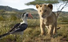 Le Roi Lion (2019) // Source : Disney Le Roi Lion (2019) // Source : Disney