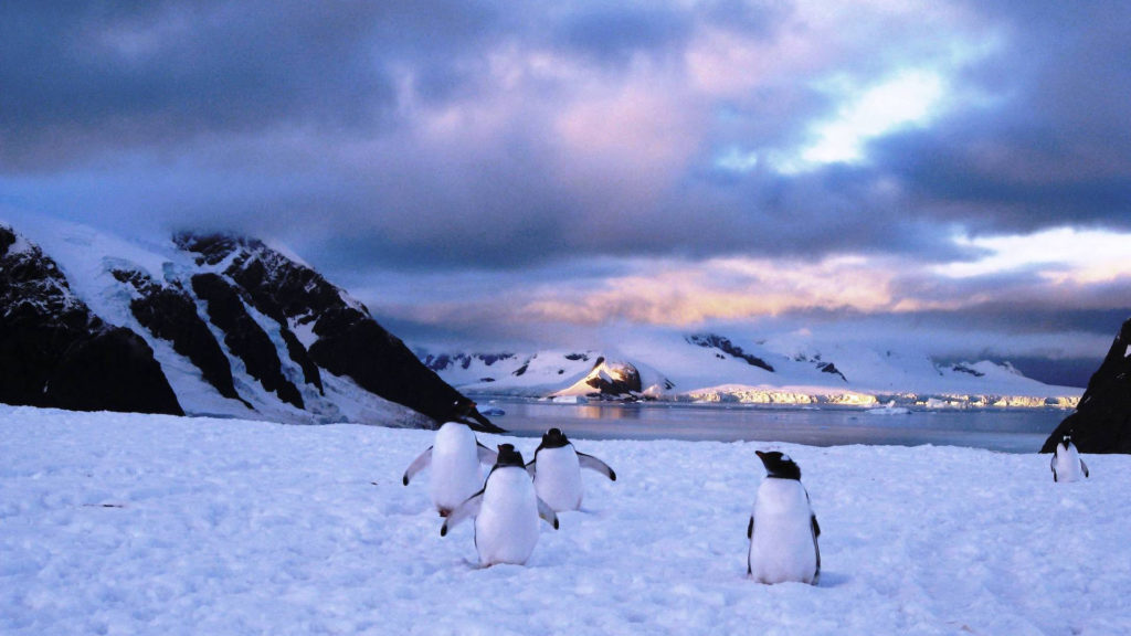 L'Île Danco en Antarctique. // Source : PublicDomainFiles/Domaine public (photo recadrée)
