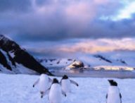 L'Île Danco en Antarctique. // Source : PublicDomainFiles/Domaine public (photo recadrée)
