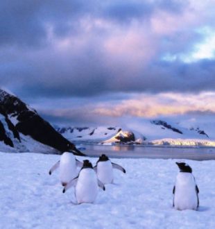 L'Île Danco en Antarctique. // Source : PublicDomainFiles/Domaine public (photo recadrée)
