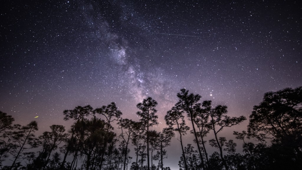 Un essaim d'étoiles filantes. // Source : Flickr/CC/Diana Robinson (photo recadrée)