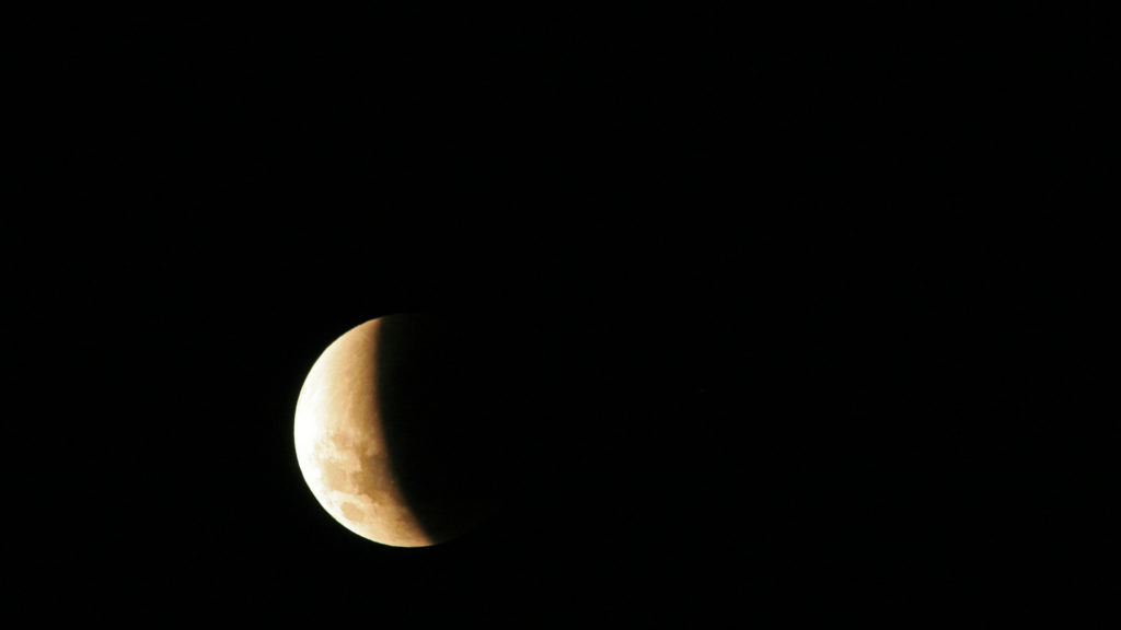 Une éclipse partielle de Lune. // Source : Public Domain Pictures (photo recadrée)