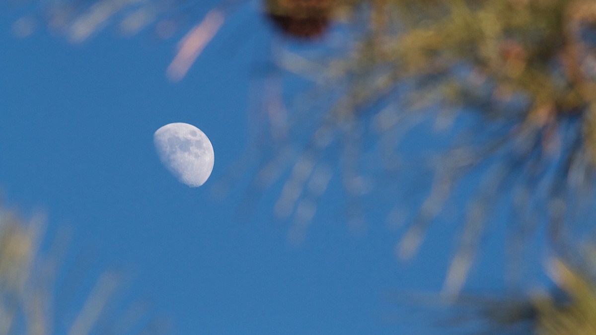 La Lune. // Source : Pxhere/CC0 Domaine public (photo recadrée)