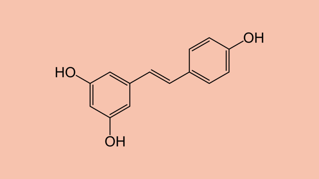 La molécule de resvératrol. // Source : Wikimedia/CC/Fvasconcellos, modifications par Numerama