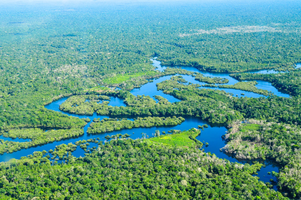 La forêt amazonienne fait 5 millions de km² et abrite un quart des espèces mondiales autant qu'une riche diversité de flore. // Source : Flickr/CC/Neil Palmer-CIAT