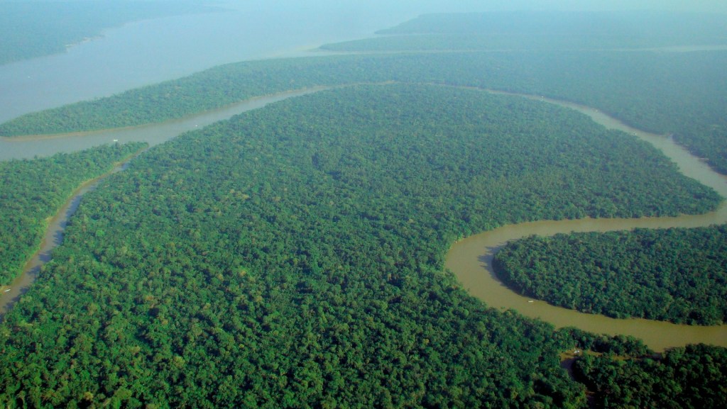 La forêt amazonienne fait 5 millions de km² et abrite un quart des espèces mondiales autant qu'une riche diversité de flore. // Source : Wikimedia Commons/lubasi