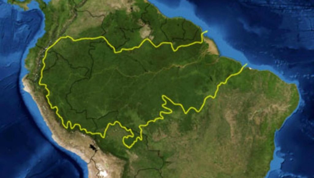 Carte de la forêt amazonienne // Source : Wikimedia Commons