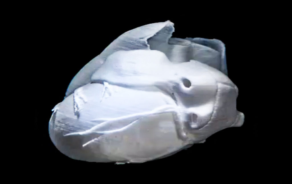 Les chercheurs de l'Université Carnegie-Mellon et de Fluidforms ont construit un coeur par bio-impression 3D. // Source : Université Carnegie-Mellon
