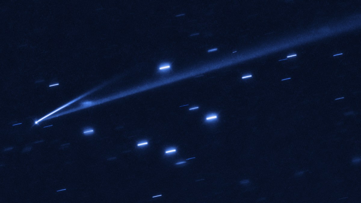 L'astéroïde 6478 Gault. // Source : Wikimedia/CC/NASA, ESA, K. Meech and J. Kleyna (University of Hawaii), O. Hainaut (European Southern Observatory) (photo recadrée)