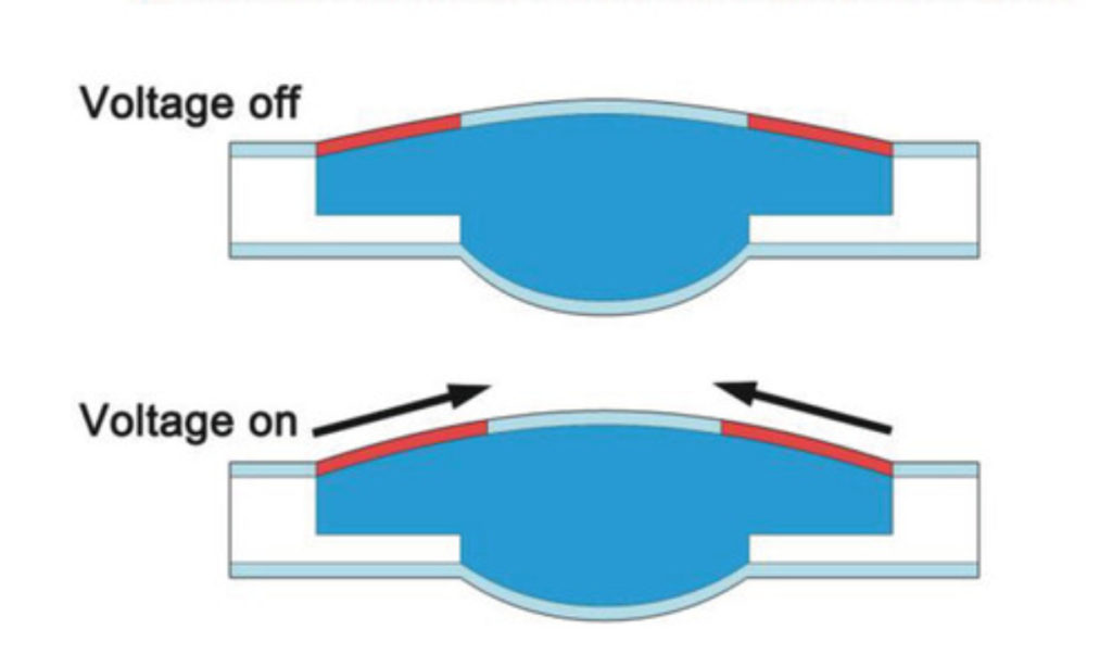 Cligner de l'oeil permet d'adapter la longueur focale.  // Source : University of California San Diego