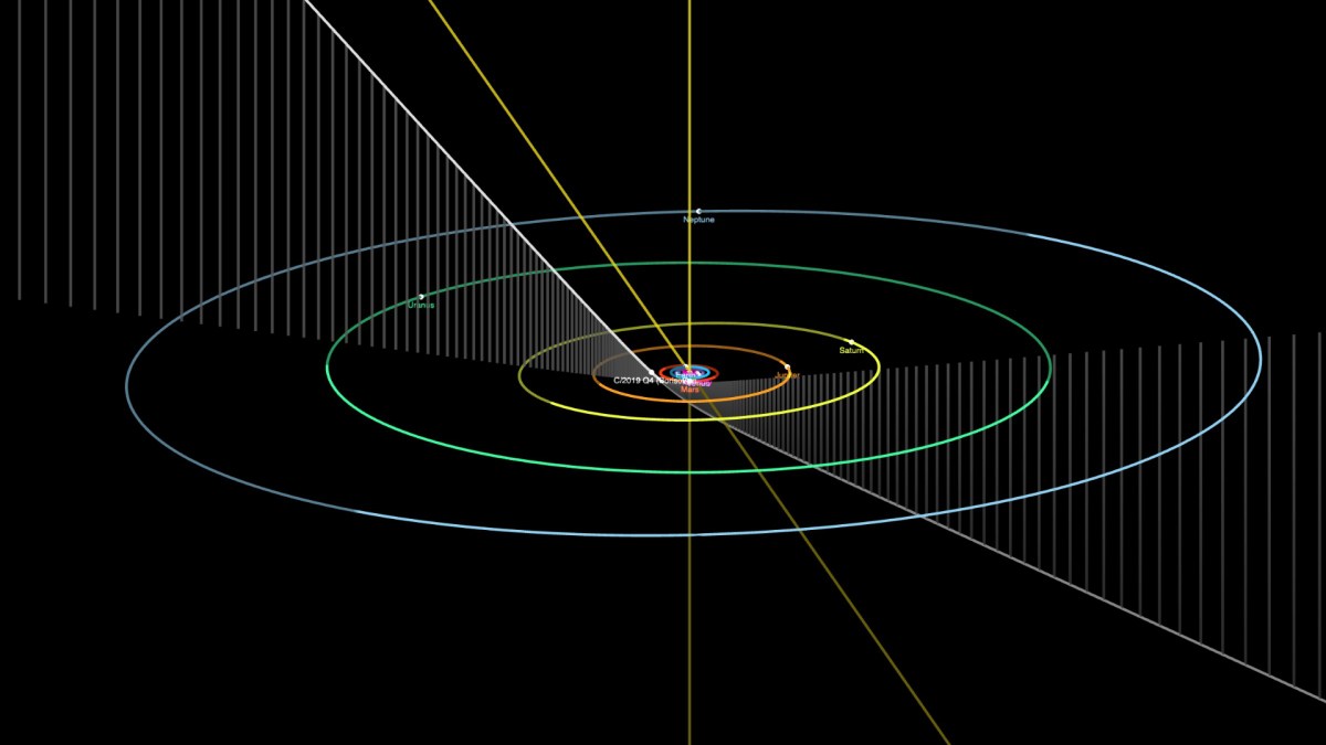 La trajectoire de Borisov dans le système solaire. // Source : Capture d'écran JPL Small-Body Database Browser