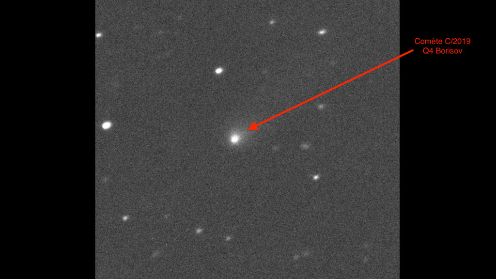 La comète observée le 10 septembre 2019. // Source : Nasa, Canada-France-Hawaii Telescope (image recadrée et annotée)