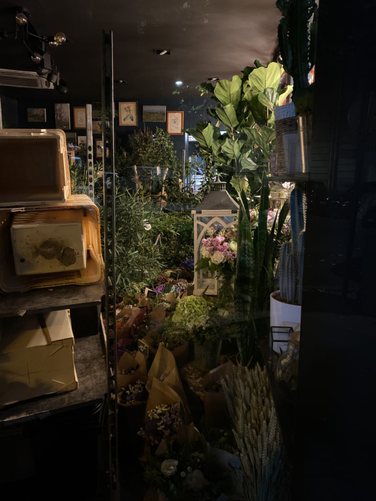 IMG_0284 IMG_0284