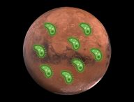 Faudrait-il envoyer des microbes sur Mars ? // Source : Pixabay, Wikimedia/CC/Twitter (photos modifiées, montage Numerama)
