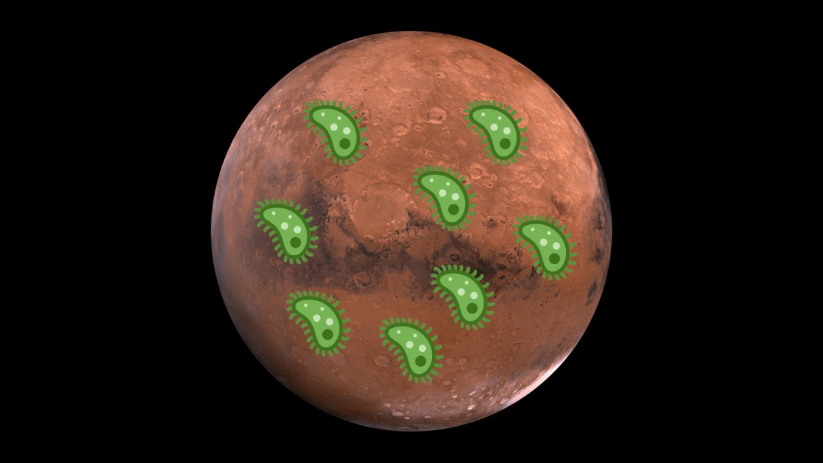 Faudrait-il envoyer des microbes sur Mars ? // Source : Pixabay, Wikimedia/CC/Twitter (photos modifiées, montage Numerama)