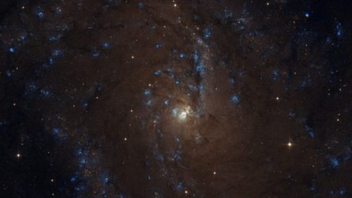 La galaxie NGC 6946. // Source : Flickr/CC/Judy Schmidt (photo recadrée)