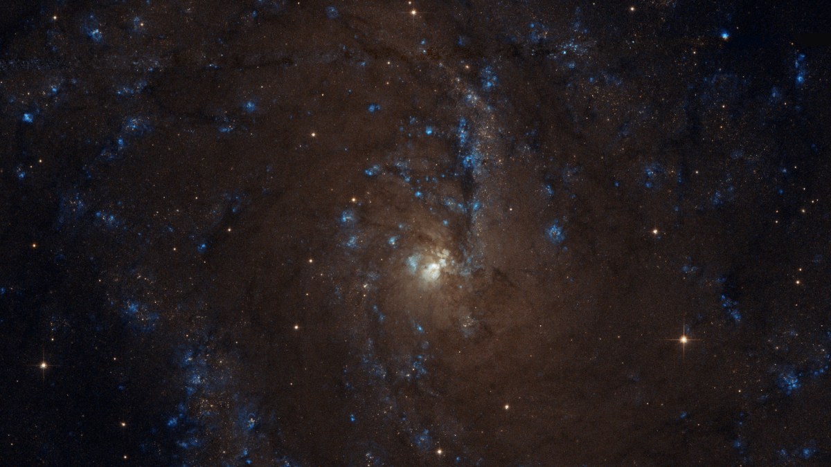 La galaxie NGC 6946. // Source : Flickr/CC/Judy Schmidt (photo recadrée)