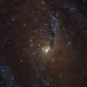 The NGC 6946 galaxy. // Source: Flickr/CC/Judy Schmidt (cropped photo)